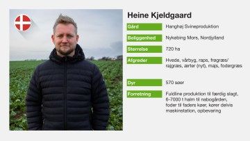 FAF-Heine